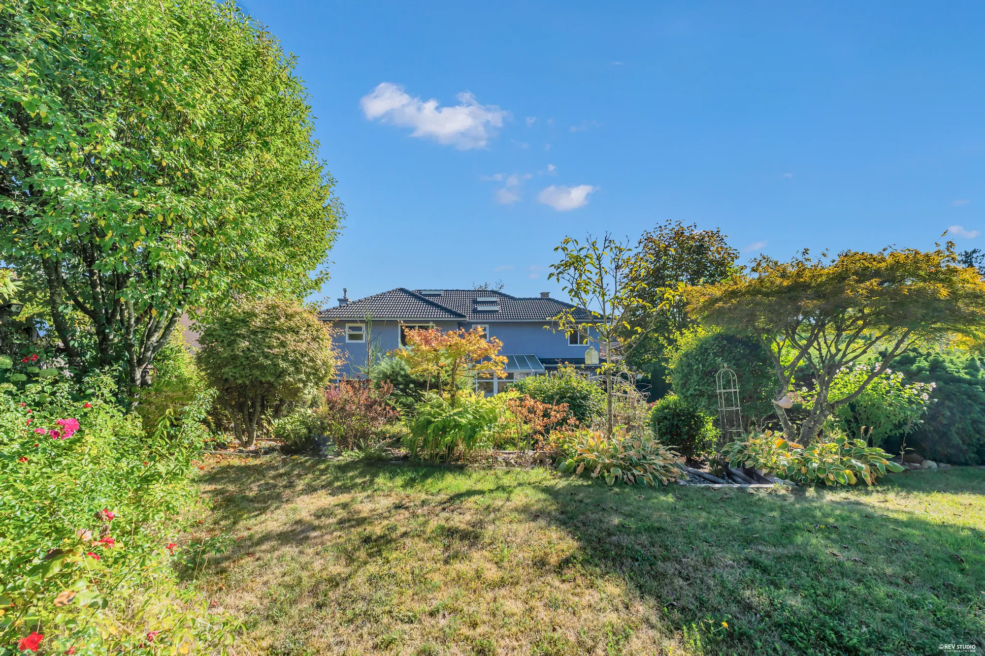 The upper corner of the garden with shrubs and small trees, the neighbours' houses beyond