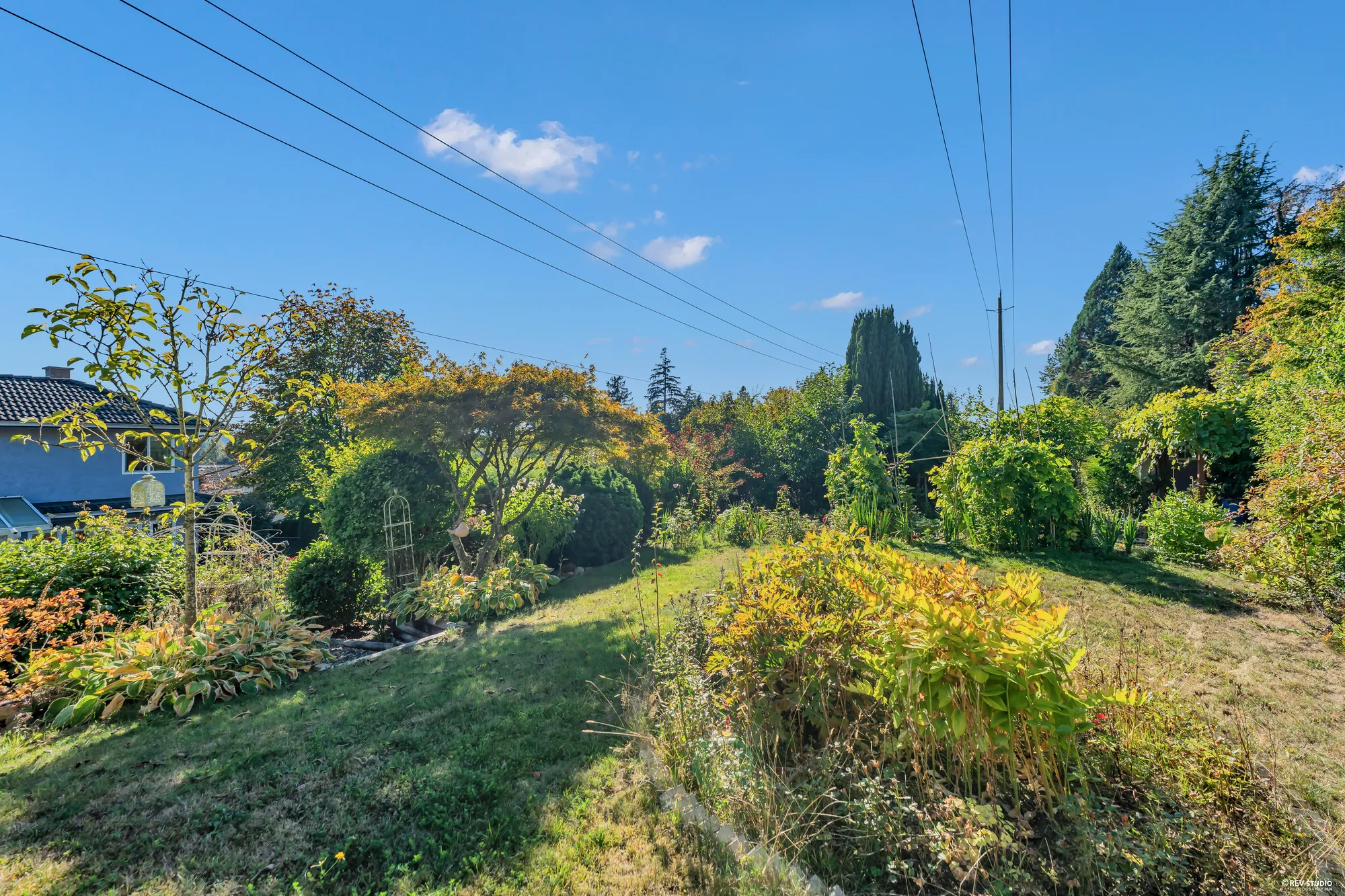 Along the garden's edge: shrubs, small fruit trees, the fences of the neighbours